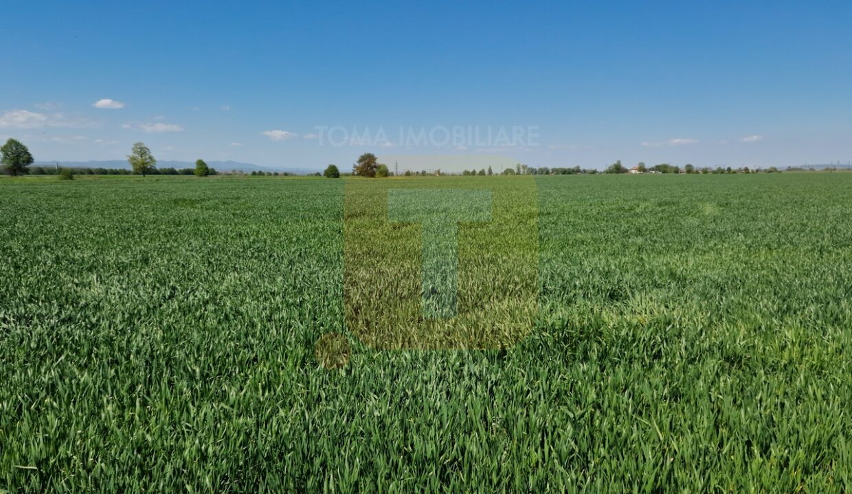 Teren intravilan de 18.700 mp – Comuna Timișești, județul Neamț