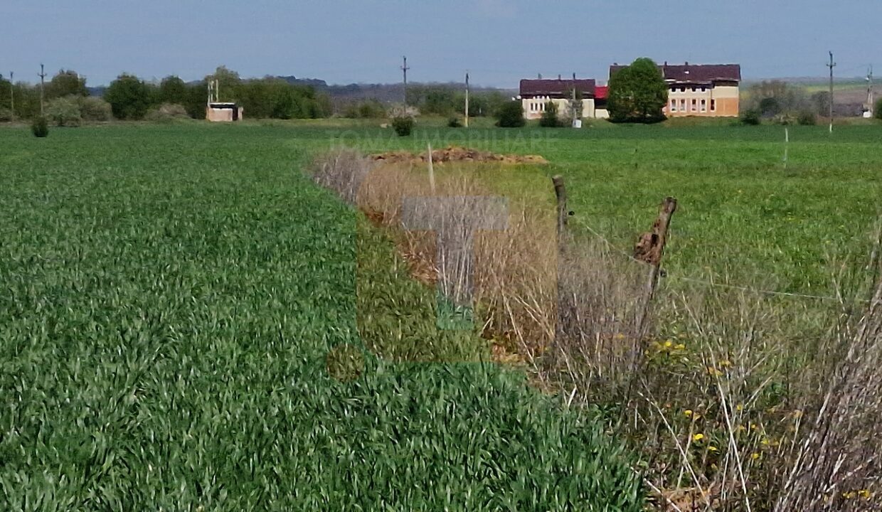 Teren intravilan de 18.700 mp – Comuna Timișești, județul Neamț