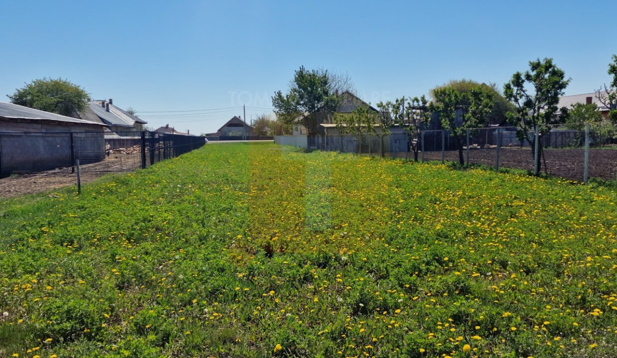 Teren intravilan de 18.700 mp – Comuna Timișești, județul Neamț