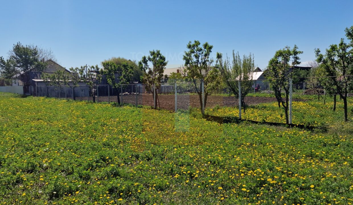 Teren intravilan de 18.700 mp – Comuna Timișești, județul Neamț