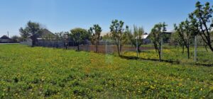 Teren intravilan de 18.700 mp – Comuna Timișești, județul Neamț