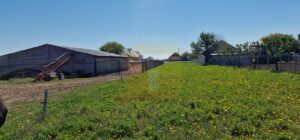 Teren intravilan de 18.700 mp – Comuna Timișești, județul Neamț
