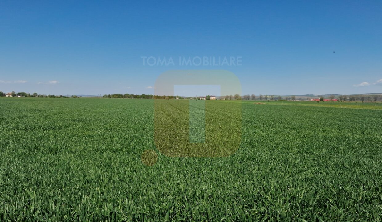 Teren intravilan de 18.700 mp – Comuna Timișești, județul Neamț
