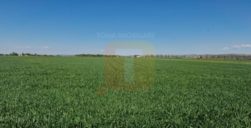 Teren intravilan de 18.700 mp – Comuna Timișești, județul Neamț