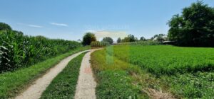 Teren intravilan 4133 mp Boțești Girov