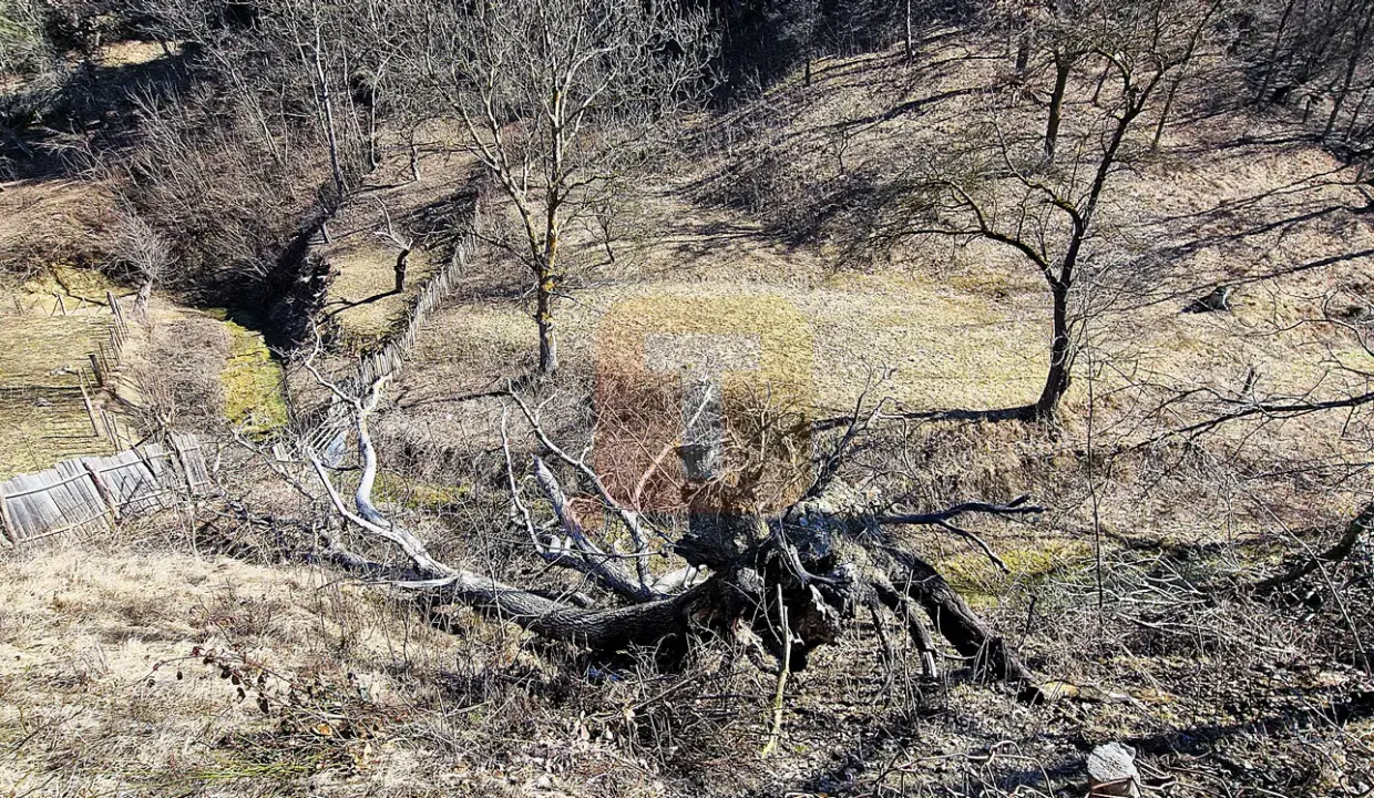 casa-vanzare-bistrita-neamt-teren-2135mp-toma-imobiliare-14