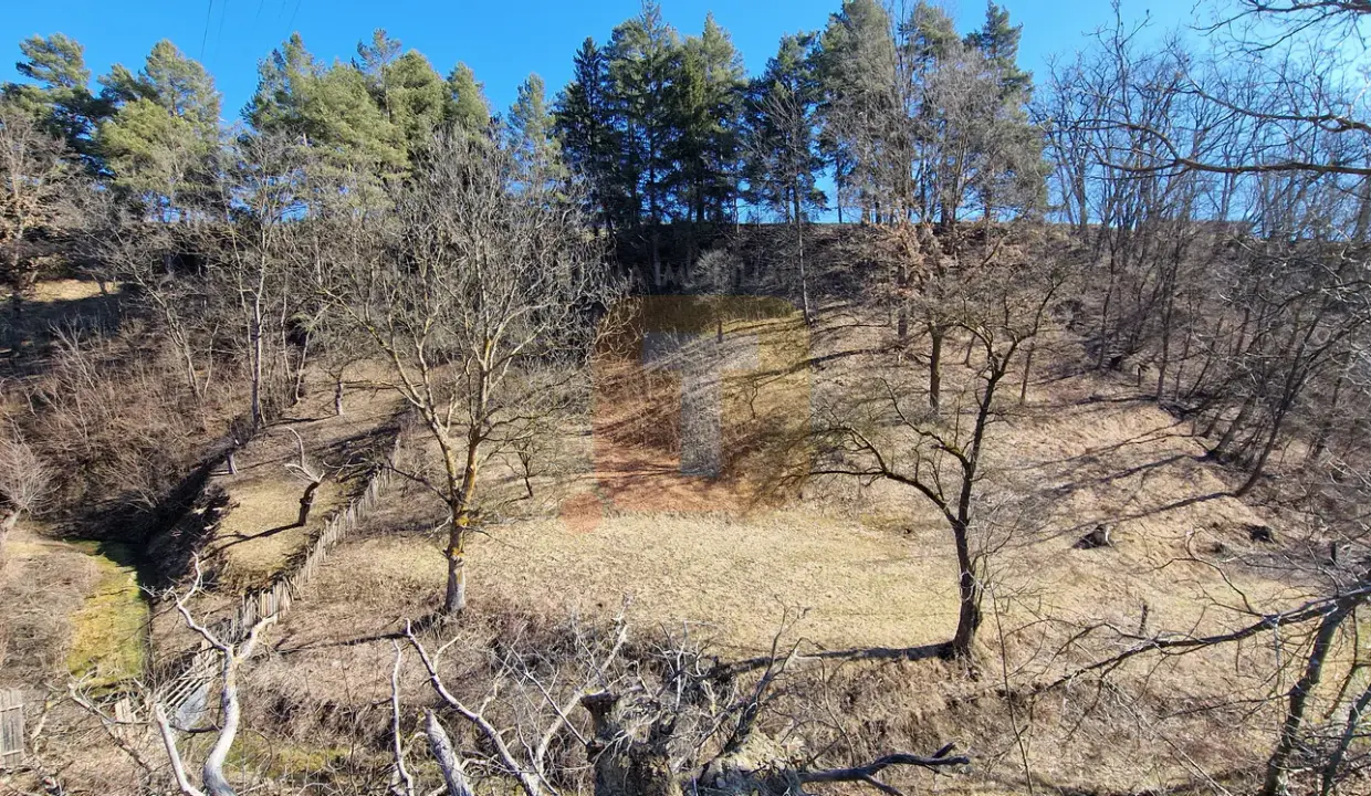 casa-vanzare-bistrita-neamt-teren-2135mp-toma-imobiliare-15