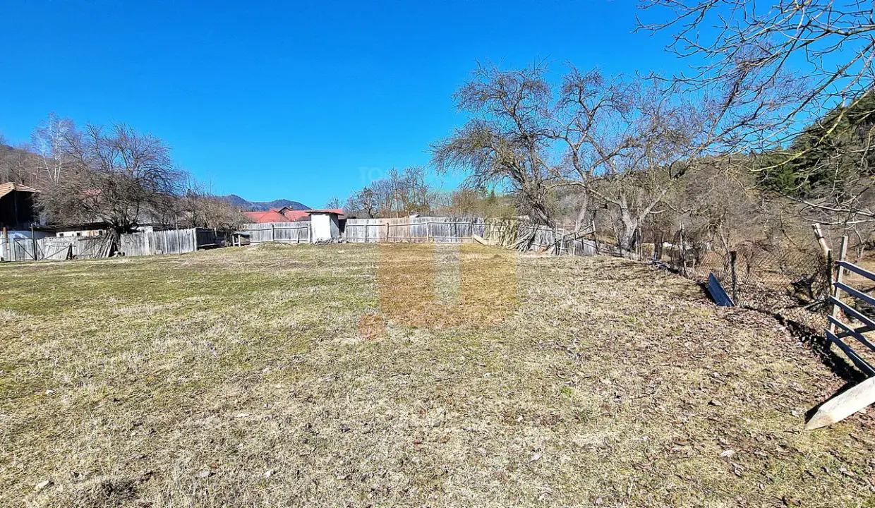 casa-vanzare-bistrita-neamt-teren-2135mp-toma-imobiliare-18