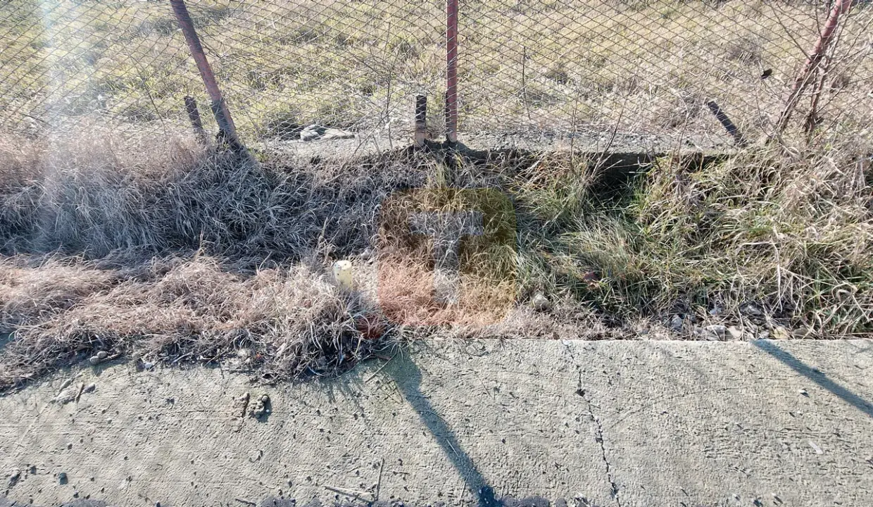 casa-vanzare-slobozia-roznov02