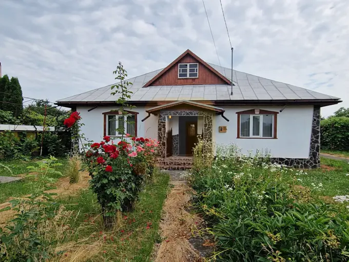 Vedere fata casa cu teren Savinești
