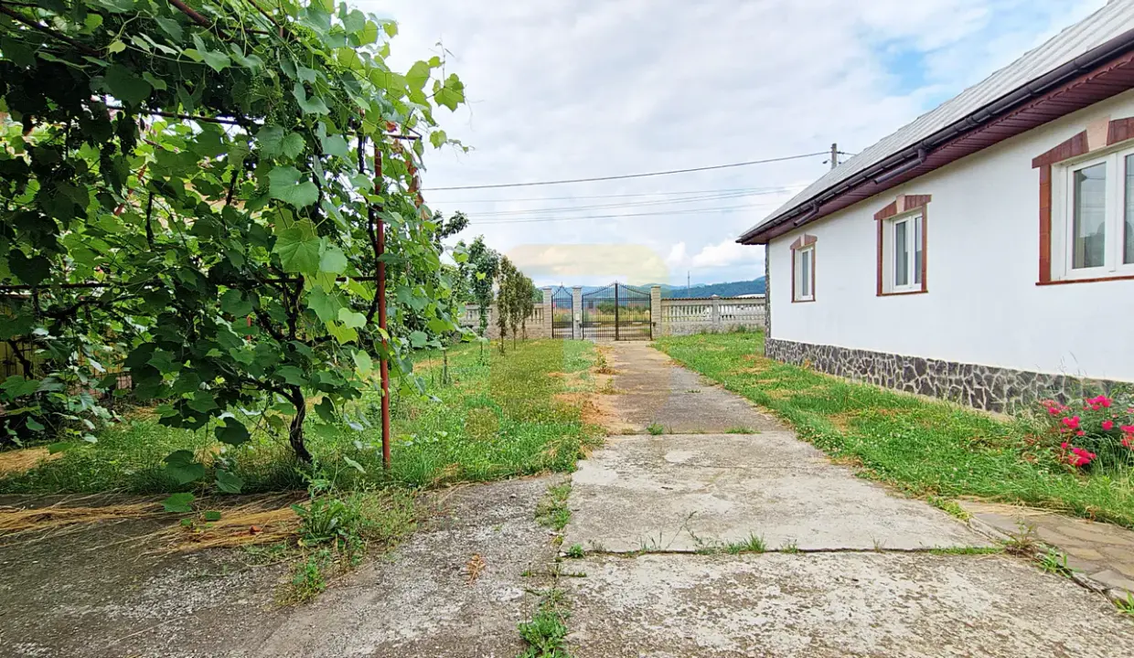 casa-de-vanzare-teren-savinesti-neamt0033